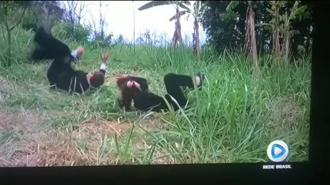 007 Conta o Foguete da Morte...