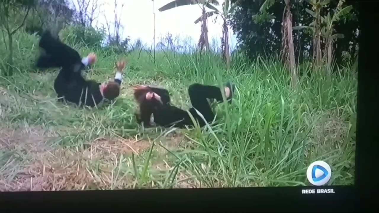 007 Conta o Foguete da Morte...