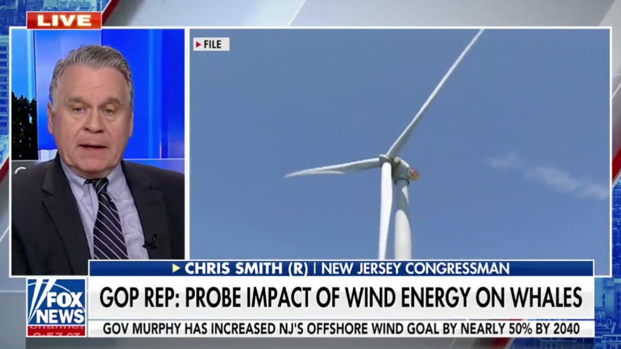 Rep. Chris Smith says whales dying off the east coast are a wake-up call