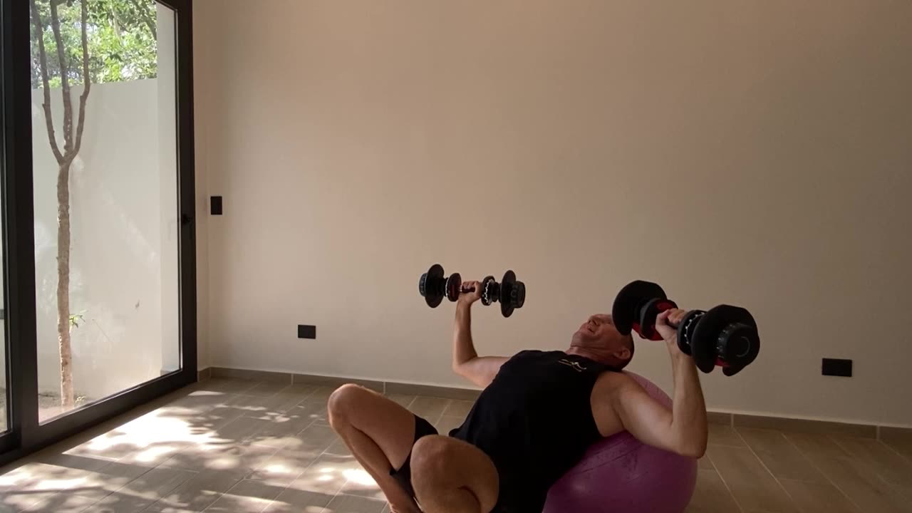 Chest Press Incline - Dumbbells