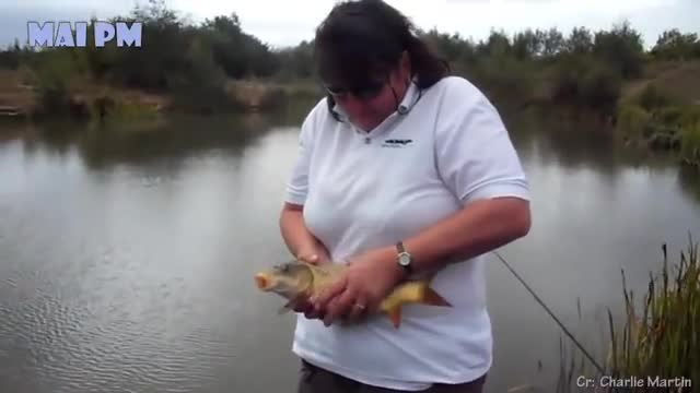 Animal kissing and funny video