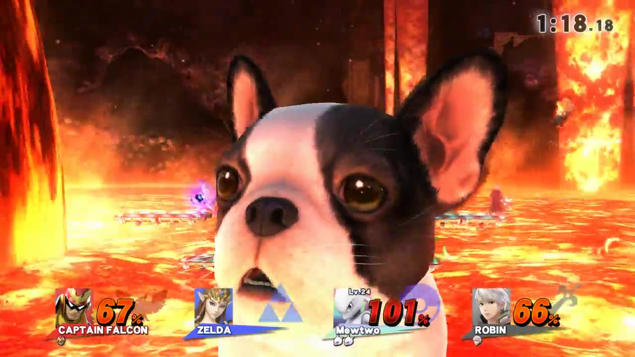 Super Smash Bros 4 Wii U Battle333