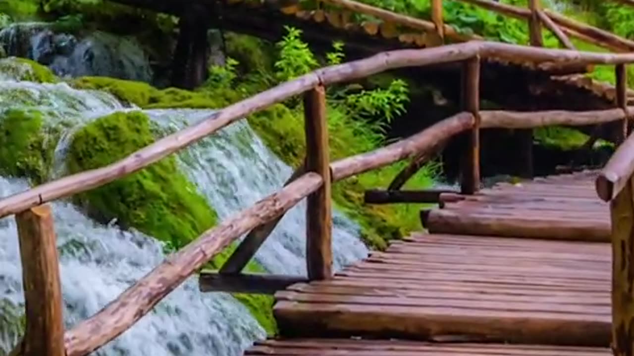 Welcome to Soothing Relaxation💚 Home of Relaxing Music & Beautiful Nature