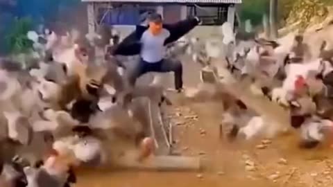 Animal funny videos😂😂