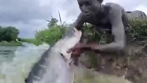 A boy catching a huge fish//