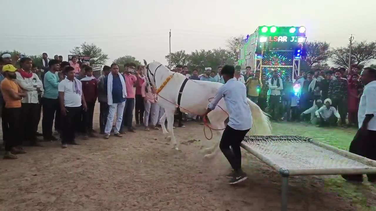 Horse dancing/India