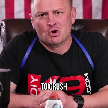 Can Yorkies Do Protection Work?