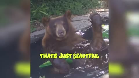 Best comedy animals