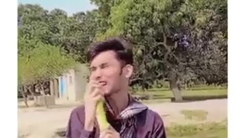 Funny video