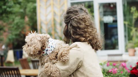 Schwarm von Golden Retriever Welpen