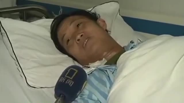 Killer wasps leave dozens dead in China