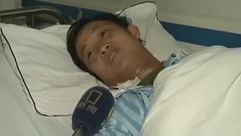 Killer wasps leave dozens dead in China