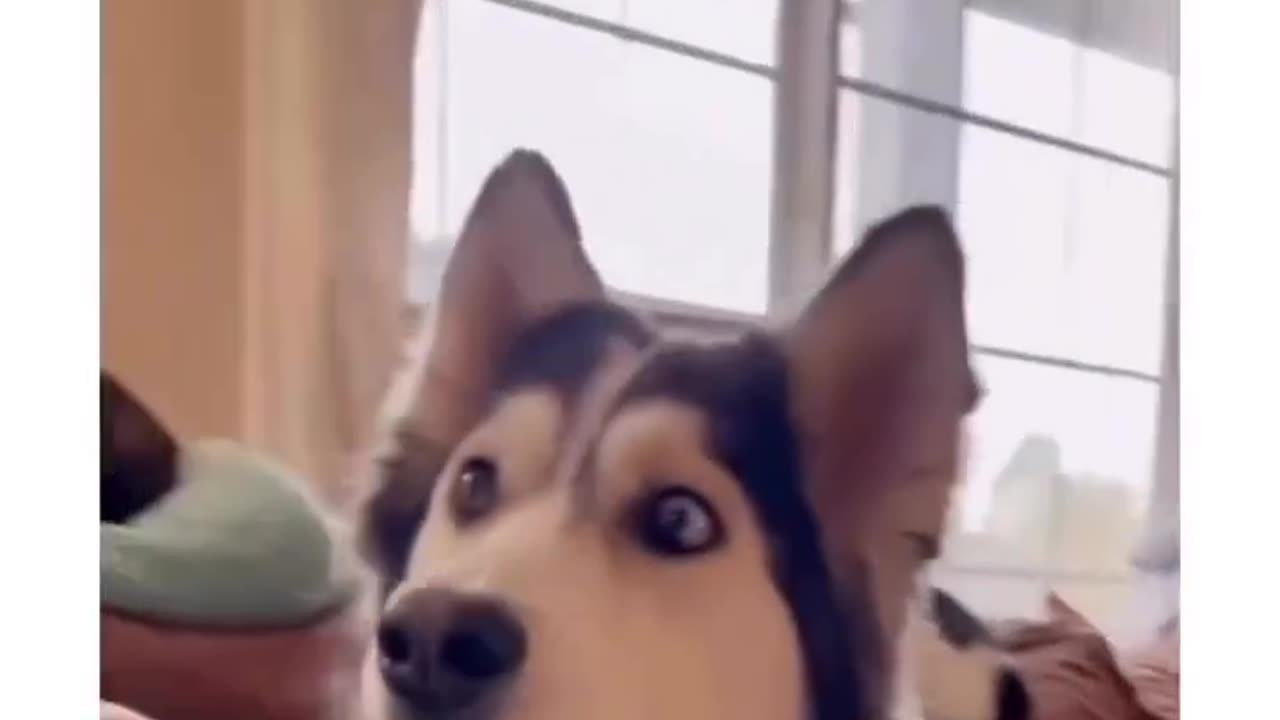 "Mom I need that"
