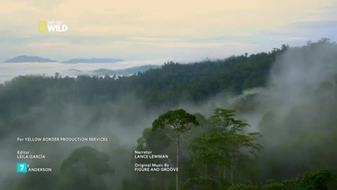 Islas paradisíacas: Salvajes, extrañas y maravillosas - Documental