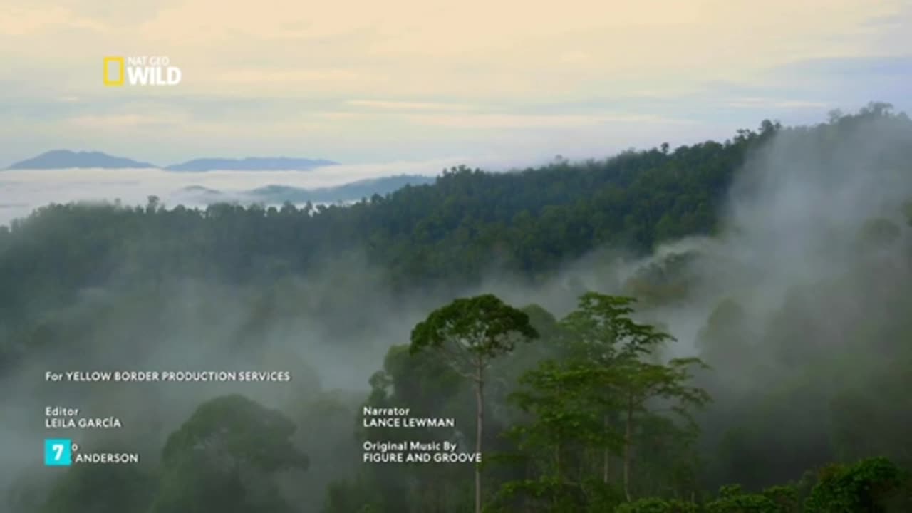 Islas paradisíacas: Salvajes, extrañas y maravillosas - Documental