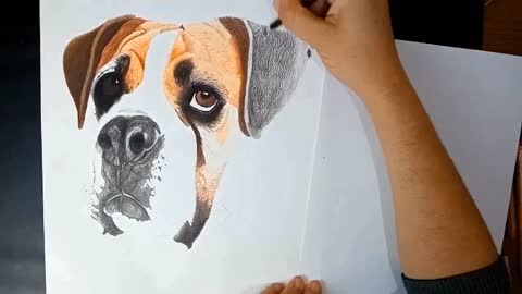 Drawing dog