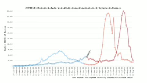 Death spiked in all countries after poisonous covid inoculation the fake vaccine