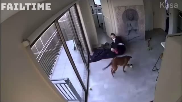 Funniest Animals - Best of 2021/ Funny Animal Videos #94