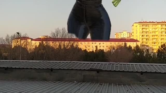 Shrek in our city