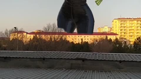 Shrek in our city