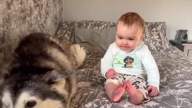 Baby & Husky Wake Up in The Cutest Way!! Baby Asks For Kisses!ðŸ˜.
