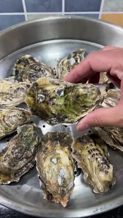 Yummy cooking Oyster recipe
