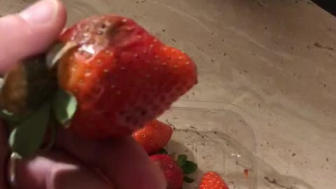 Polskie Jedzenie to sie sprzedaje w sklepach , dramat