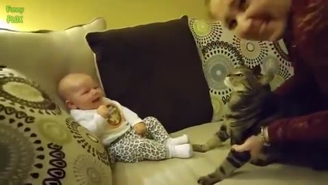 Cate #cute video in my home