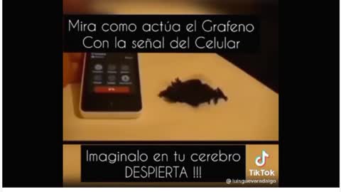 CELULAR EXITA GRAFENO - IMAGINALO EN TU CUERPO Y CEREBRO