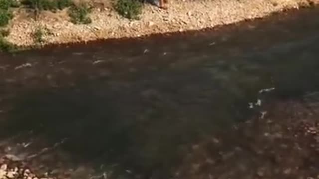 best tradition fishing video