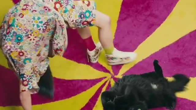 Billie Eilish + OwlKitty - Bad Cat (Behind the Scenes)