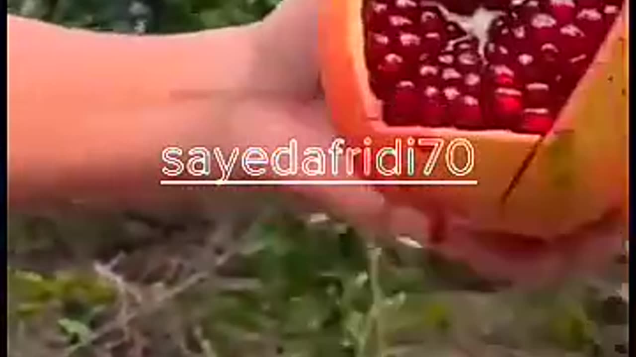 Ninja fruit cutting video