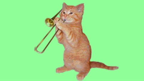 Cute cat with musical instrument