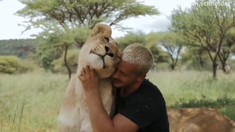 Fun With Lions