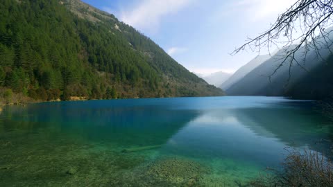 Lakes in the forest