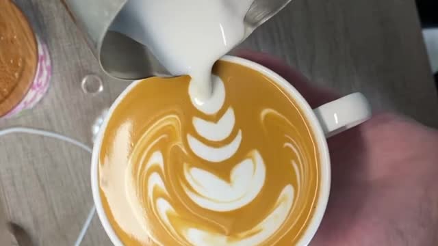 鬱金香拉花 Tulip Latteart