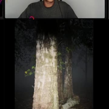 Shortest Blockbuster: The Woods