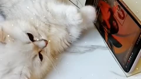 Her addicted to it