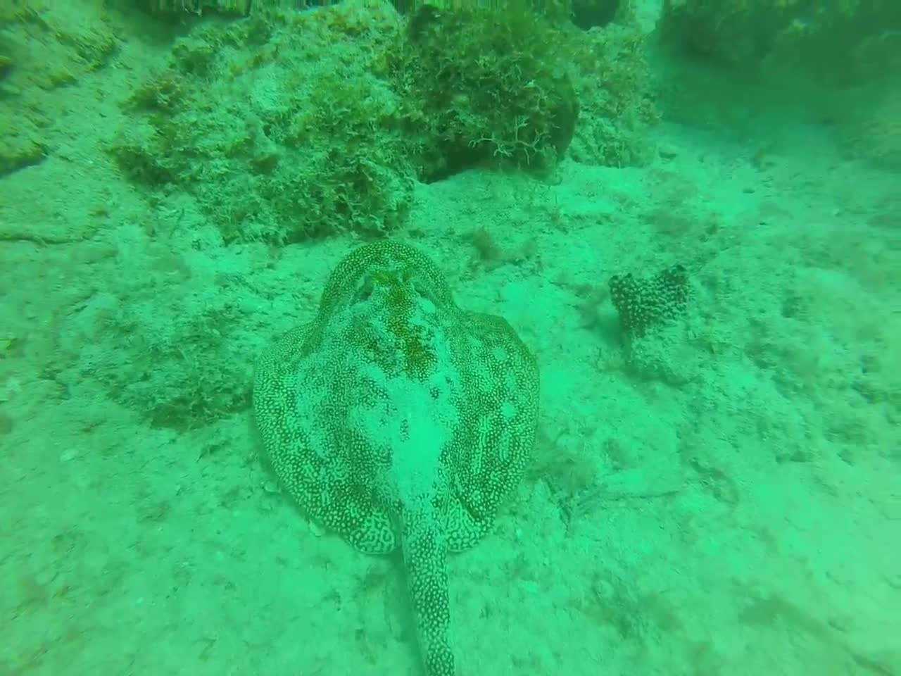 République Dominicaine, mer des Caraïbes