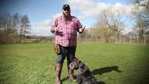 Dog training video