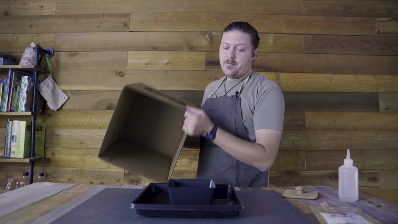 Grow popcorn micro greens in dark the entire time.