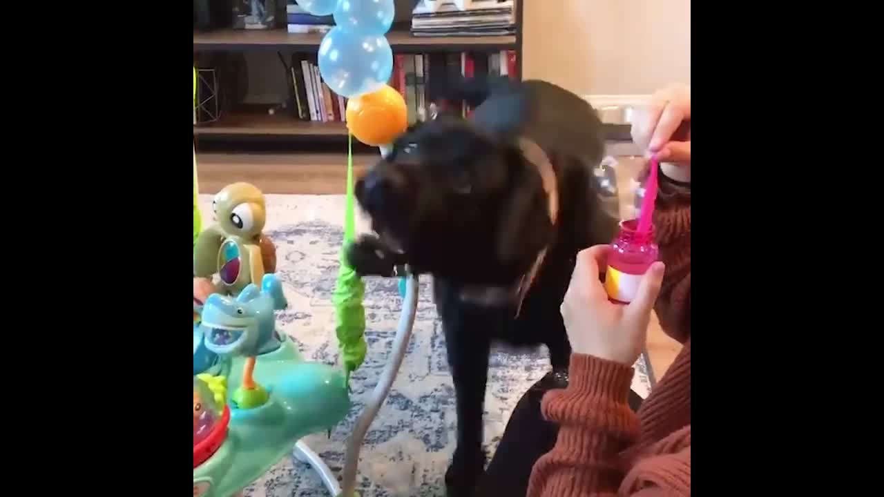 Baby can always make us happy