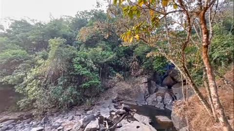 Nature Video Water Falling .