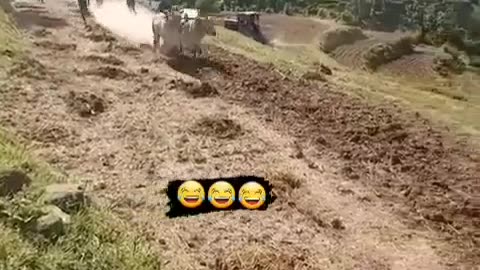 Brake cutting stupid cow