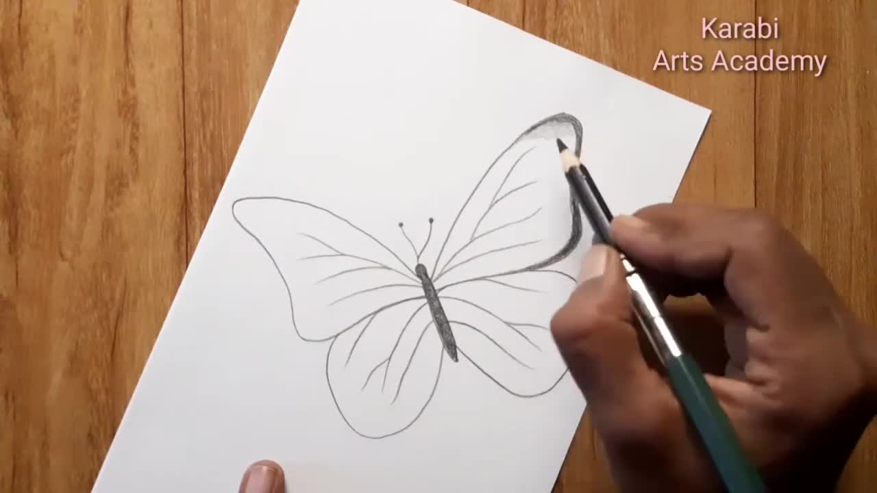 How to draw beautiful butterfly | Pencil sketch for beginners | Karabi arts academy