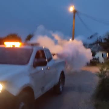 Mówią, rzekomo opryskiwanie komarów.Chemtrails