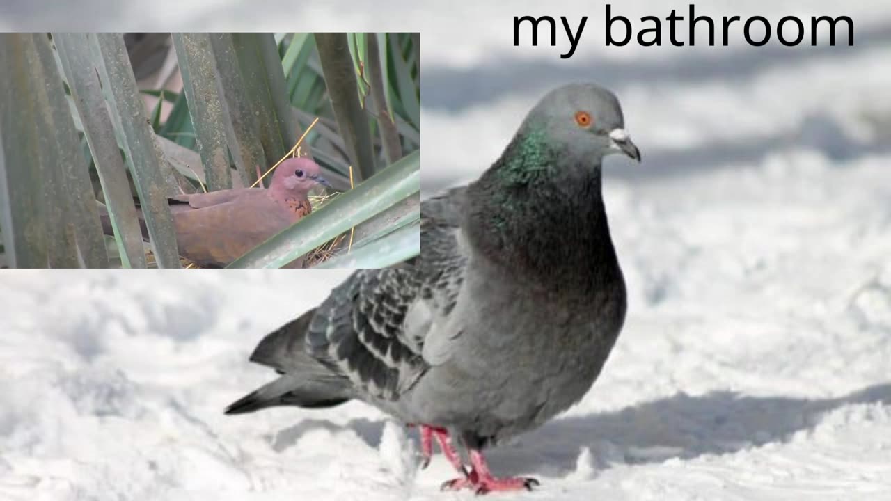 my bathroom