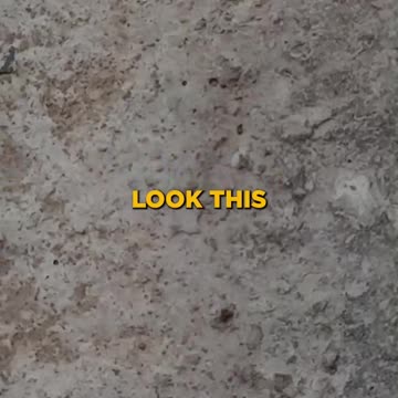 The Flesh Takes the Course of Least Resistance