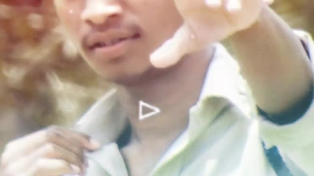 Whatsapp status