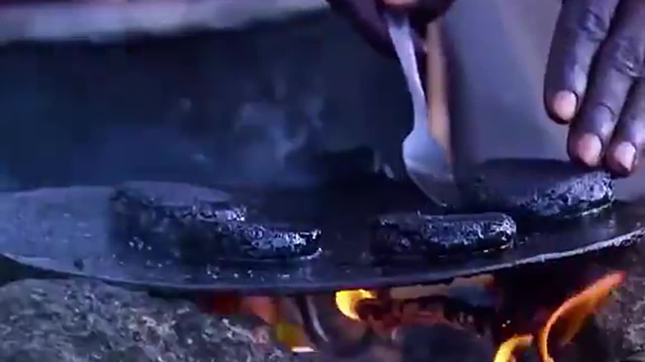 A MEAT PATTY MADE FROM 500,000 🤮MOSQUITOES